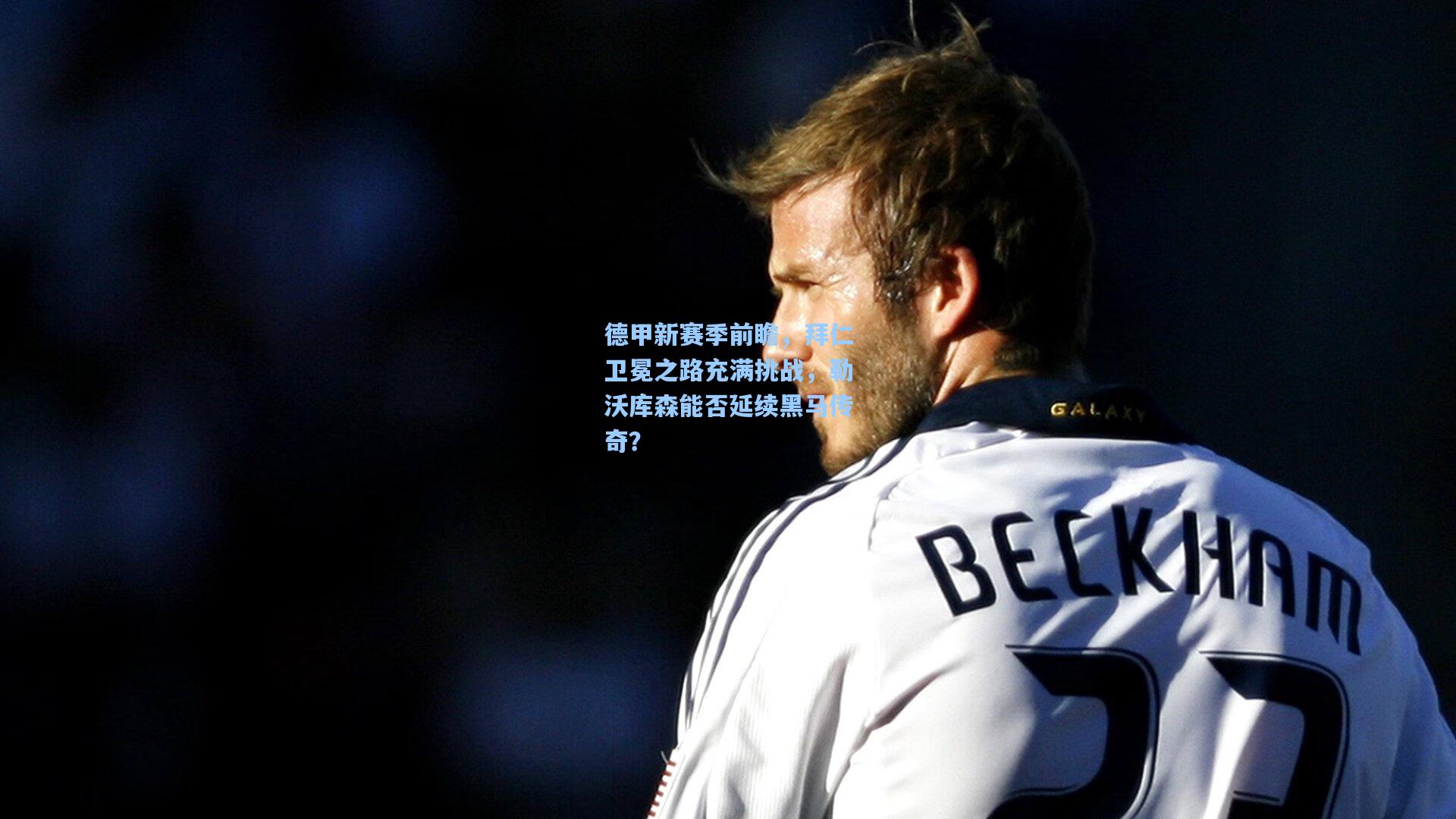 德甲新赛季前瞻，拜仁卫冕之路充满挑战，勒沃库森能否延续黑马传奇？