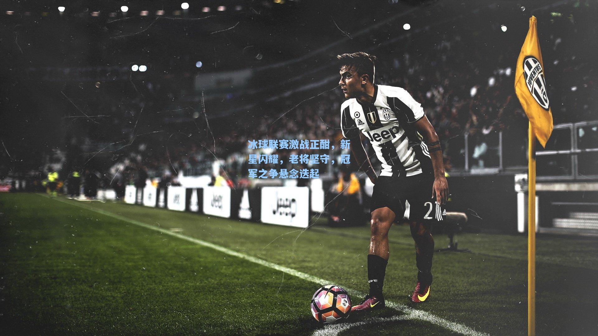 冰球联赛激战正酣，新星闪耀，老将坚守，冠军之争悬念迭起